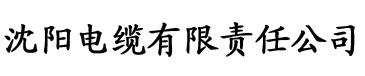 lu先生破解安卓电缆厂logo